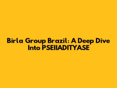 Birla Group Brazil: A Deep Dive Into PSEIIADITYASE