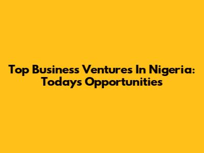 Top Business Ventures In Nigeria: Today's Opportunities